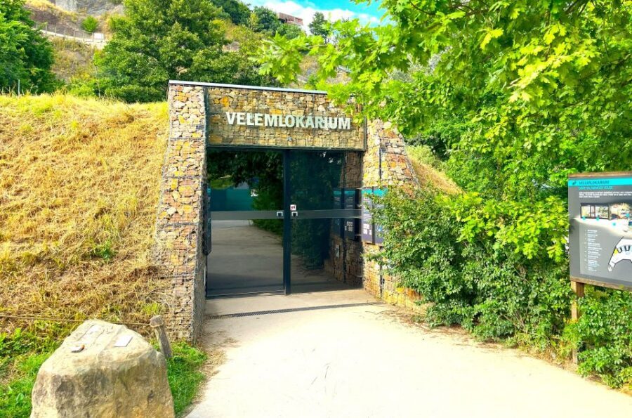Prague Zoo Online Audio Guide (No ticket) - Should You Book This Prague Zoo Online Audio Guide?