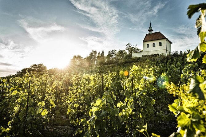 Prague´s Hidden Vineyards Private Tour - Stop 2: Troja Wine Territory Vineyards Above the Troja Chateau