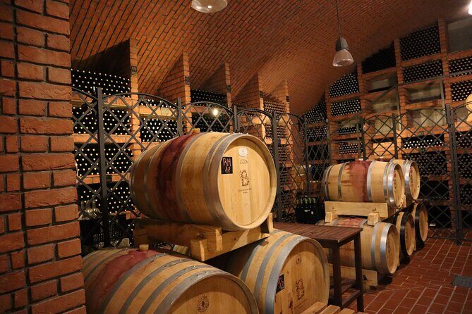 Prague´s Hidden Vineyards Private Tour - What You’ll Learn (Without Turning This into a Lecture)