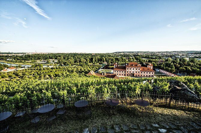 Prague´s Hidden Vineyards Private Tour - Price and Logistics for a 4-Hour Private Wine Day