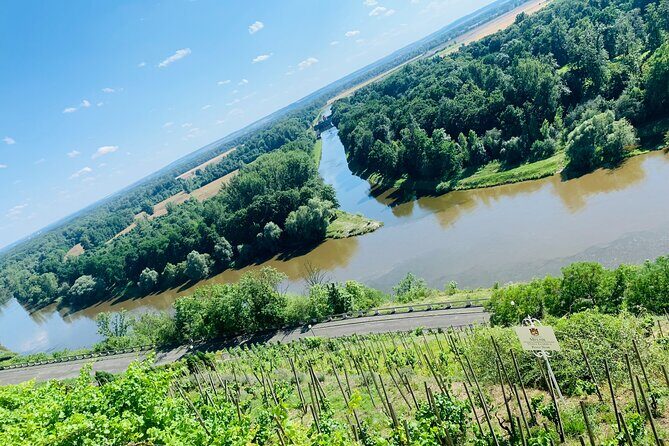 Private Bohemia Wine Tour from Prague with Gourmet Tastings - Price and Value: What You’re Really Paying For