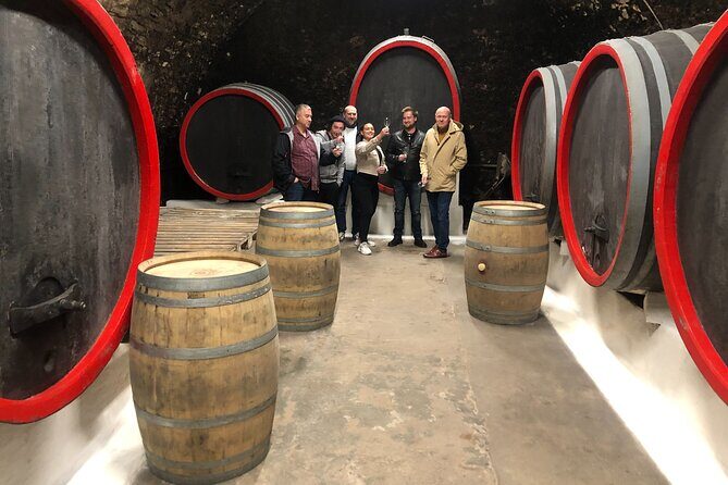 Private Bohemia Wine Tour from Prague with Gourmet Tastings - Stop 3: Velké Žernoseky’s Medieval Cellars and a Proper Lunch