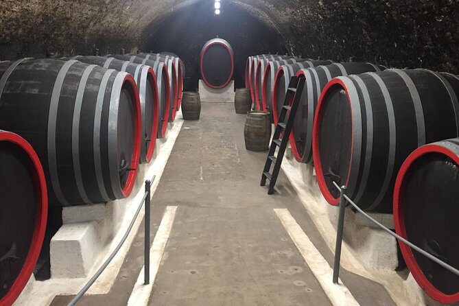 Private Bohemia Wine Tour from Prague with Gourmet Tastings - Stop 4: Johann W and the Modern Estate Finish in Třebívlice