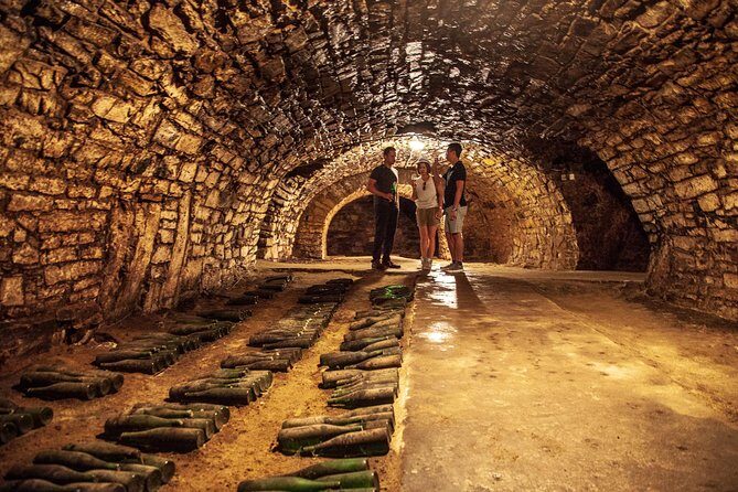 Private Bohemia Wine Tour from Prague with Gourmet Tastings - Stop 1: Zamek Mělník and the Renaissance Wine View