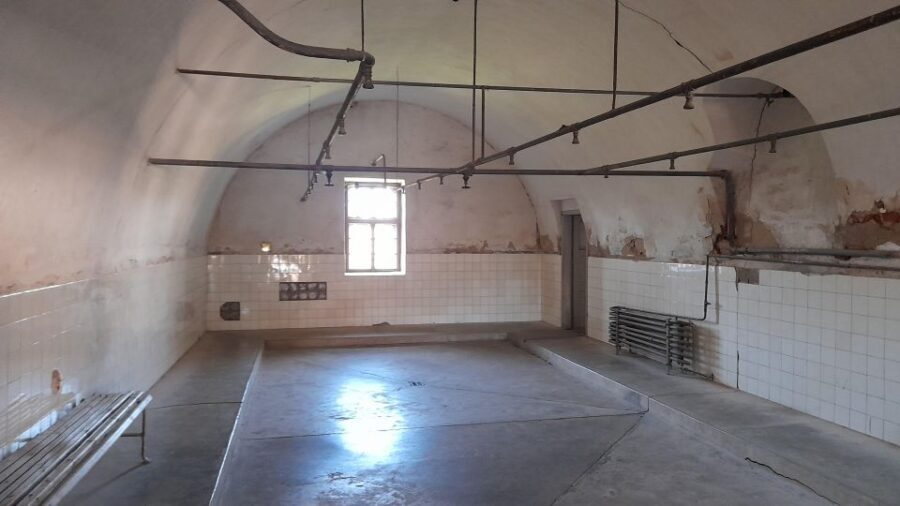 Private Half-Day Tour To Terezin Concentration Camp - Key highlights before you go