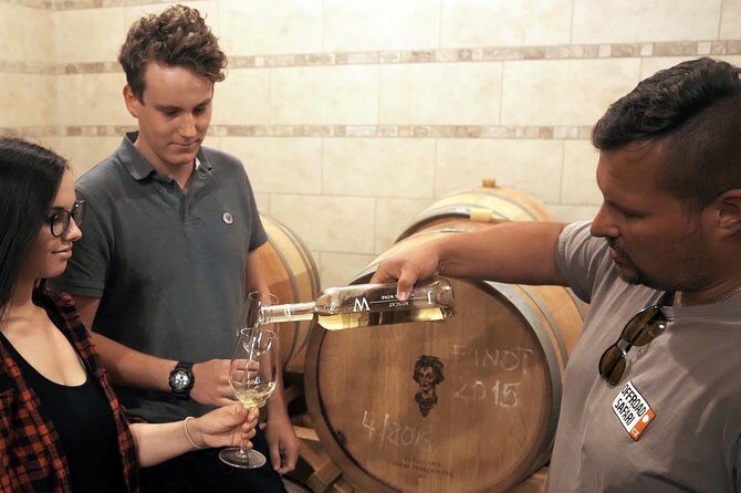 Private PICNIC in Bohemian Vineyards and Wine Tasting 4WD Tour - Price and what you actually get for about $372 per person