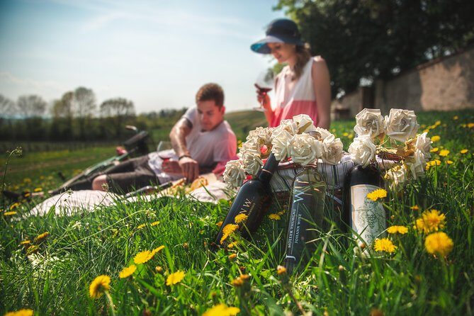 Private PICNIC in Bohemian Vineyards and Wine Tasting 4WD Tour - The picnic lunch: included, outdoors-first, with a winery fallback