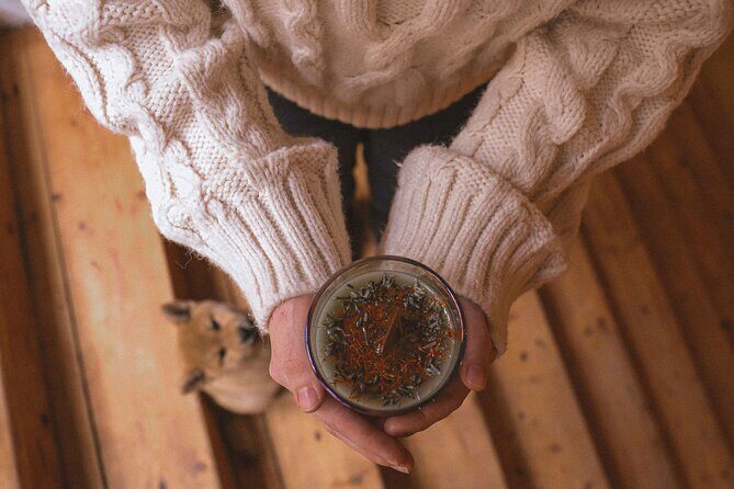 Soy Candles Workshop in Prague - Where You Start: Cat on the Moon in Vinohrady