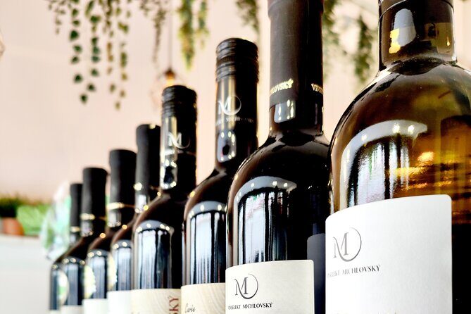 Wine Tasting and History Prague - Prague wine history, taught through your feet and your glass