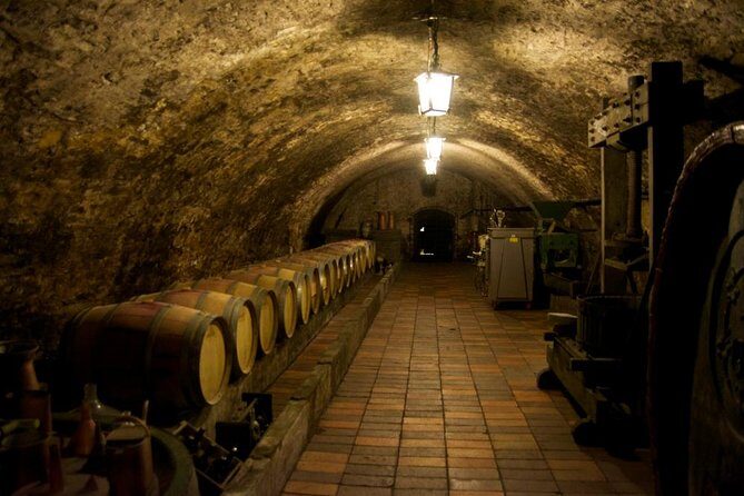 Wine Tasting Day Trip from Prague to Melnik - Key Things I’d Be Excited About
